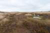 ameland2021_052_small.jpg