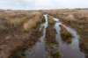 ameland2021_053_small.jpg