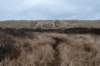 ameland2021_054_small.jpg