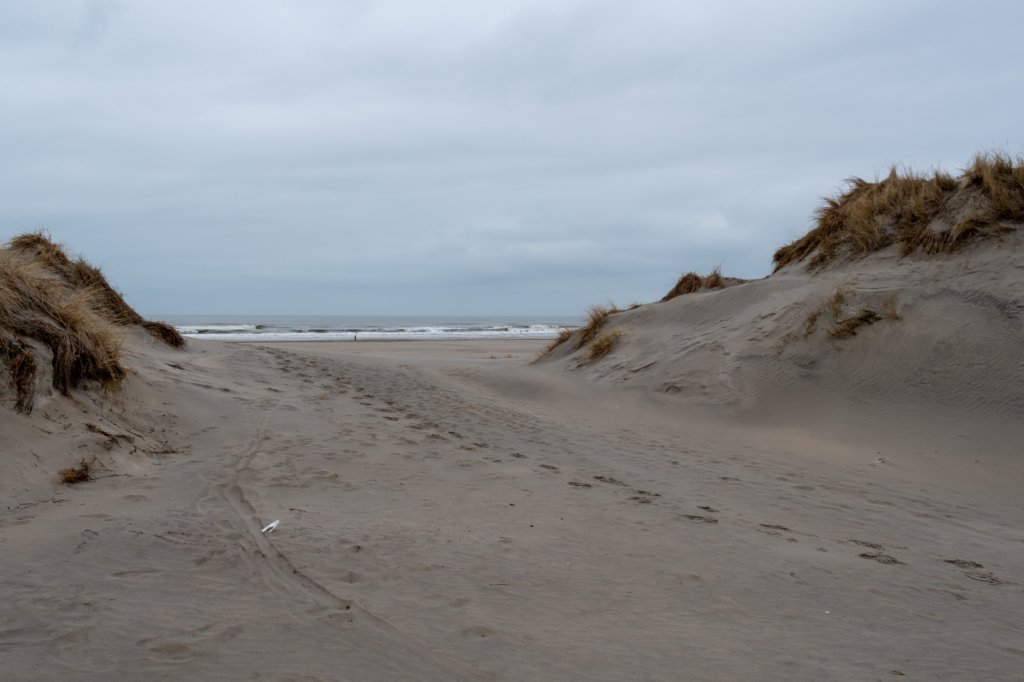 ameland2021_060.jpg