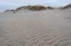 ameland2021_061_small.jpg