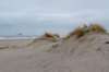 ameland2021_063_small.jpg