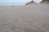 ameland2021_064_small.jpg