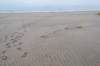 ameland2021_065_small.jpg