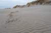 ameland2021_066_small.jpg