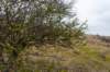 ameland2021_072_small.jpg