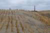 ameland2021_074_small.jpg
