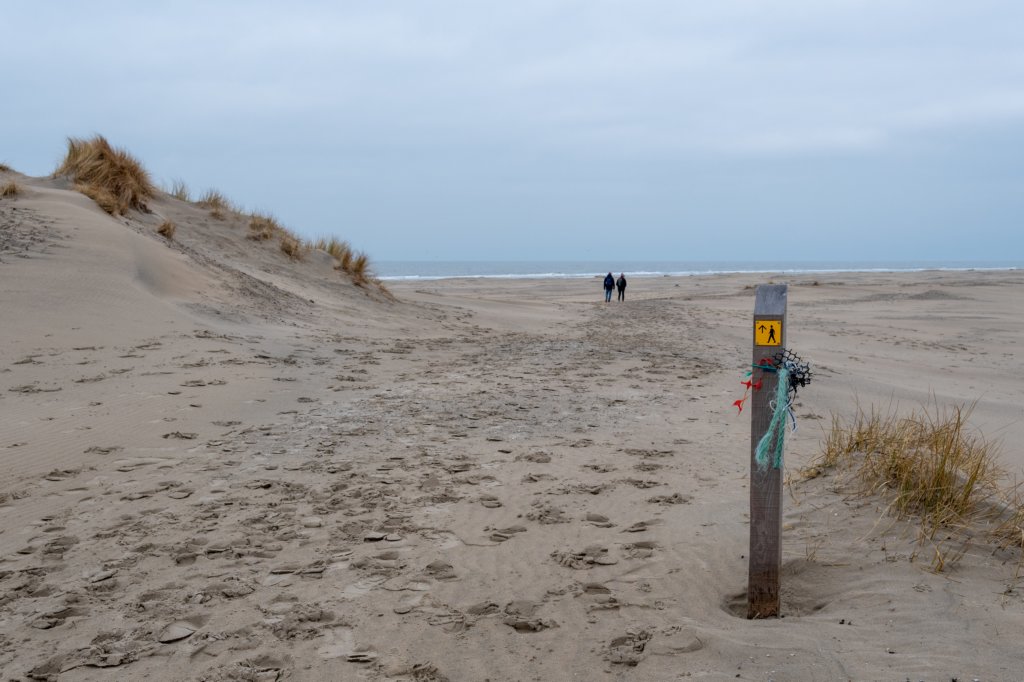 ameland2021_080.jpg