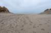 ameland2021_081_small.jpg
