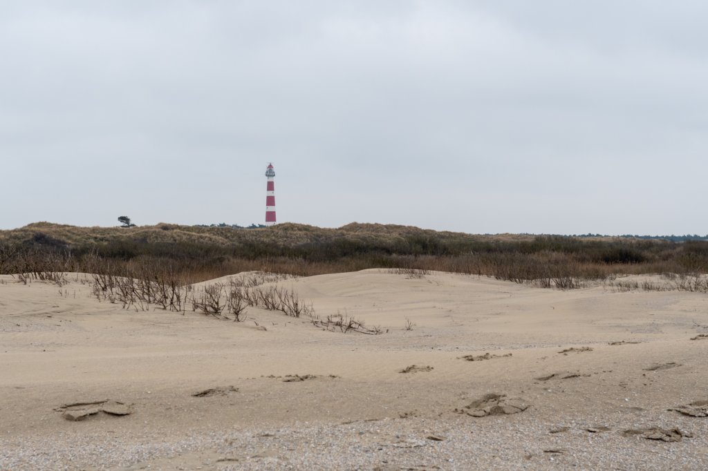 ameland2021_083.jpg