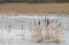 ameland2021_084_small.jpg