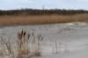 ameland2021_085_small.jpg