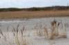 ameland2021_086_small.jpg