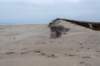 ameland2021_088_small.jpg