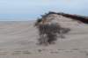 ameland2021_089_small.jpg