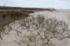 ameland2021_090_small.jpg