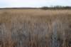 ameland2021_091_small.jpg