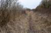 ameland2021_092_small.jpg