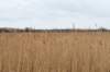 ameland2021_093_small.jpg