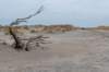 ameland2021_096_small.jpg