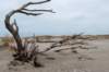 ameland2021_097_small.jpg
