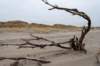 ameland2021_098_small.jpg