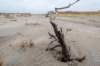 ameland2021_099_small.jpg