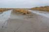 ameland2021_102_small.jpg