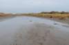 ameland2021_103_small.jpg