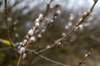 ameland2021_110_small.jpg