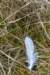 ameland2021_111_small.jpg