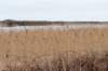 ameland2021_112_small.jpg
