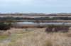 ameland2021_113_small.jpg