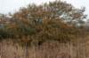 ameland2021_115_small.jpg