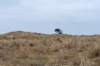 ameland2021_119_small.jpg