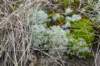 ameland2021_120_small.jpg