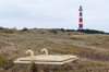 ameland2021_121_small.jpg