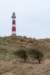 ameland2021_122_small.jpg
