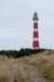 ameland2021_123_small.jpg