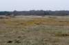 ameland2021_125_small.jpg