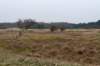 ameland2021_126_small.jpg
