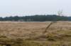ameland2021_127_small.jpg
