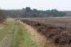 ameland2021_128_small.jpg