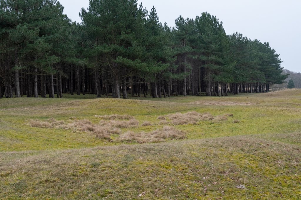 ameland2021_132.jpg