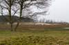 ameland2021_134_small.jpg