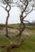 ameland2021_135_small.jpg