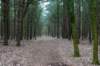 ameland2021_136_small.jpg