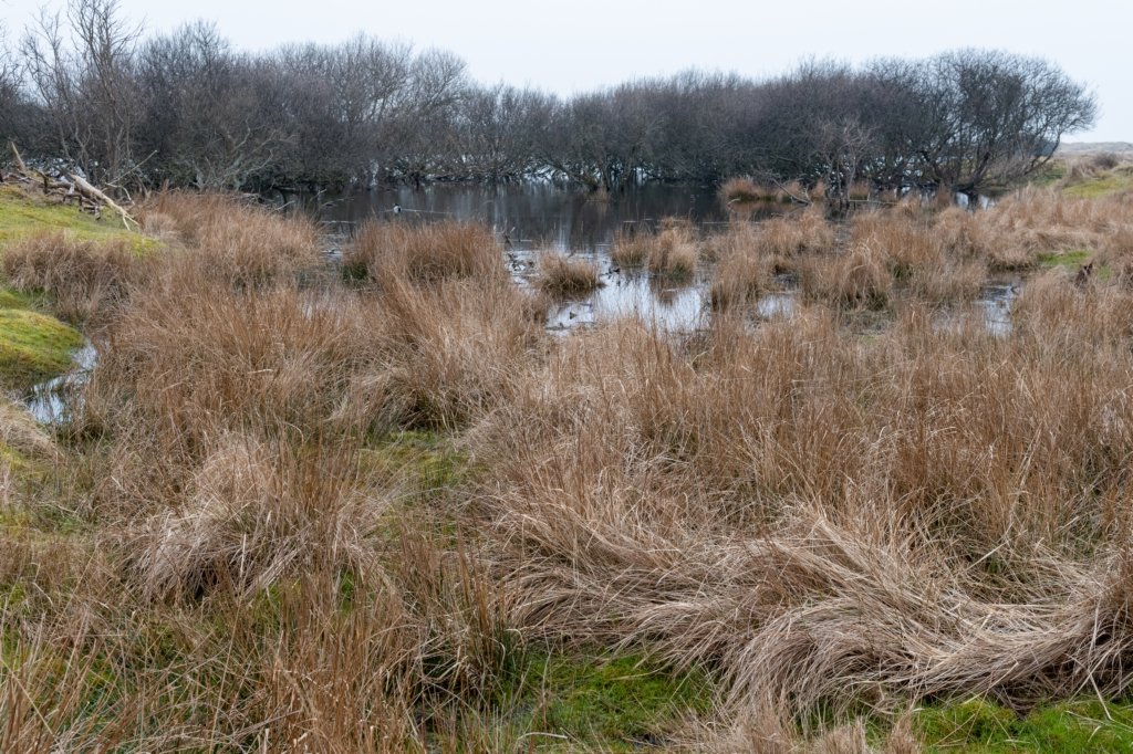 ameland2021_137.jpg