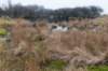 ameland2021_137_small.jpg