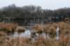ameland2021_138_small.jpg